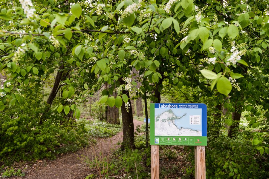 The entrance to a nature trail with trees and a Lakeshore Nature Preserve sign.