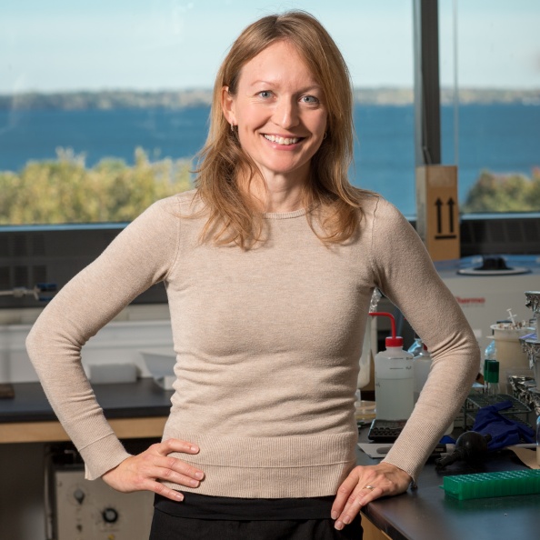 Barbara Bendlin