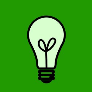 lightbulb in a green square