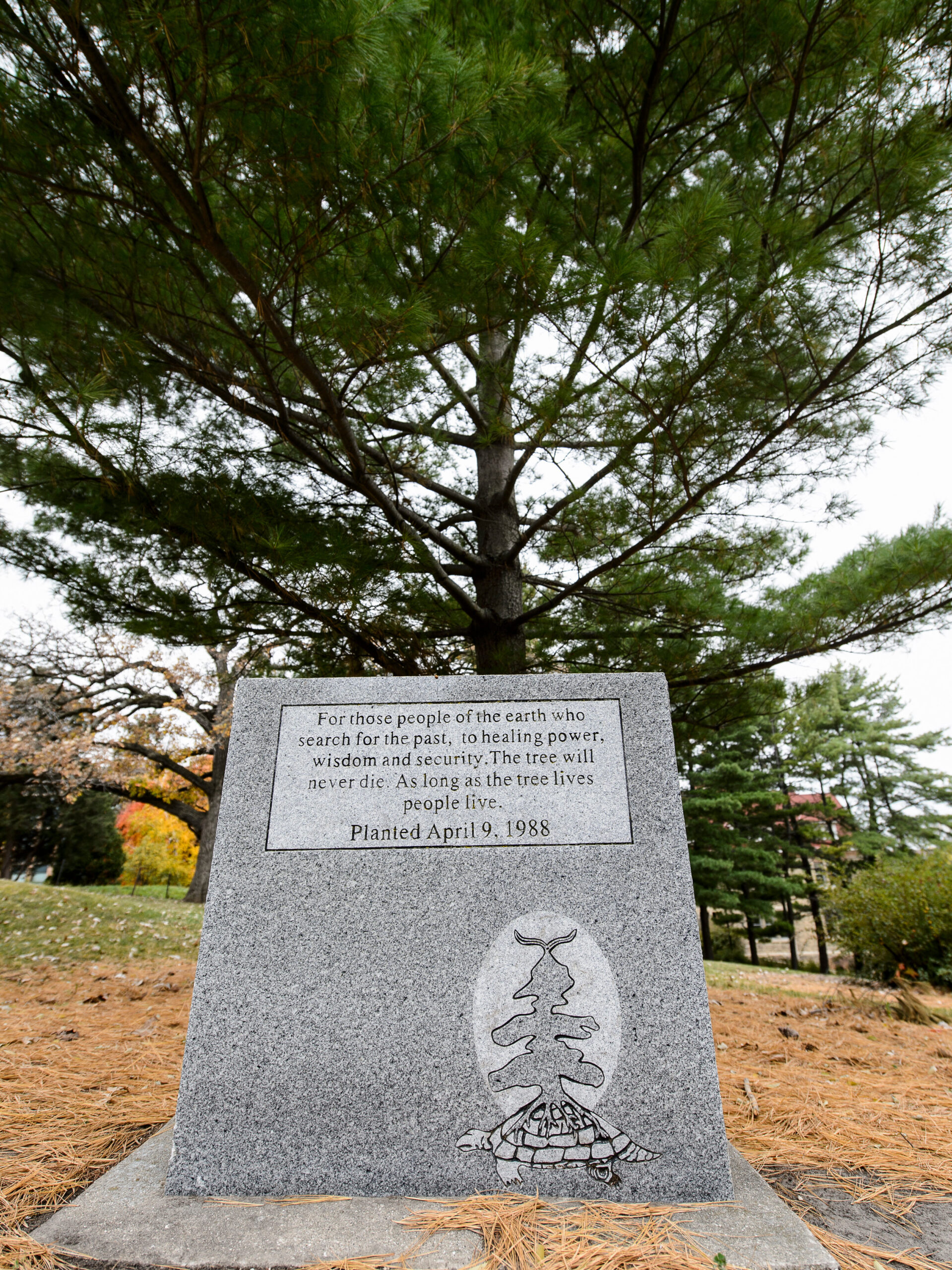 Stone in front of large pine tree with text "For those people of the earth who search for the past, to healing power, wisdom and security. The tree will never die. As long as the tree lives people live. Planted April 9, 1988"